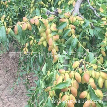 ̨ţش޽ӗFۗˮֶȫNֲY