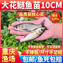 �����~�絭ˮ���Bֳ������I�~���ش����^�~�Ĵ���~���~���^����