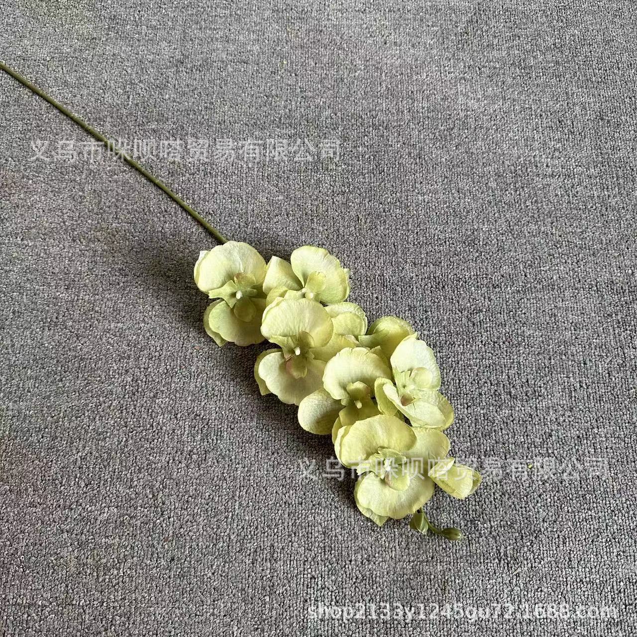 8 실크 호접란-레트로 그린