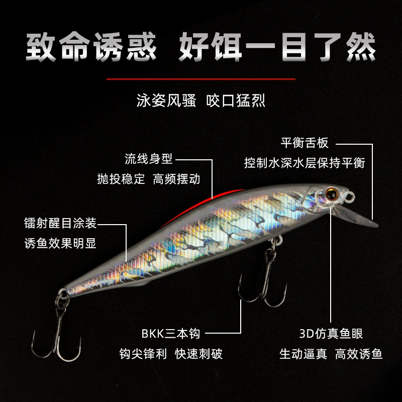 Factory wholesale Silver Domino 6066 Road Asian bait remote investment in Shenshui Mino Flying System Caimota Passa's mouth