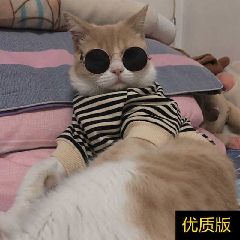 Осенне-зимняя одежда для котят и кошек, модная брендовая стильная кофта для кошек британской короткошерстной породы и кошек Рэгдолл.