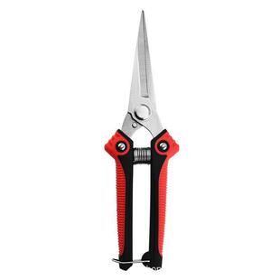 ���������֦���P䓼��^ժ������֦����֦�߹�����ˇ���F؛���l