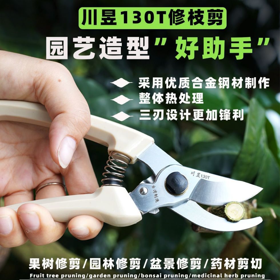 대만 CHUANYU 130T 꽃 가위 SK5 가지 가위 정원 가지 치기 가위 정원 가지 치기 가위 과일 나무 앨리스 스타일