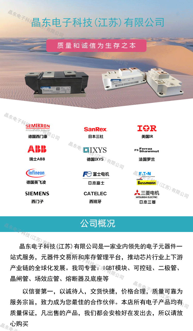 晶东电子科技_01