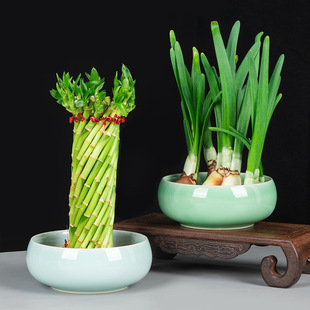 ��Ȫ��ɻ����մɟo�״�̖�Pϴ��ϴ�~�X����ɏˮ��ֲ����[��ˮ�B