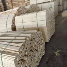 �Ҿ���ɳ�l�l���Ǵ���l�бP��l���ľ����Ѭ��ľ�l��ľ��