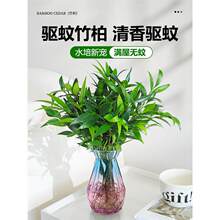 ˮ���������ļ��҃ȷ��ò�ֲ��ˮ�B�Gֲ����С�����ļ����B�׻�