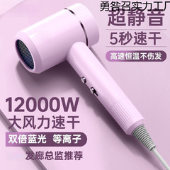 ヘアドライヤー家庭用高速ハイパワー静音速乾マイナスイオンヘアケア温冷風ヘアドライヤーヘアサロン風力
