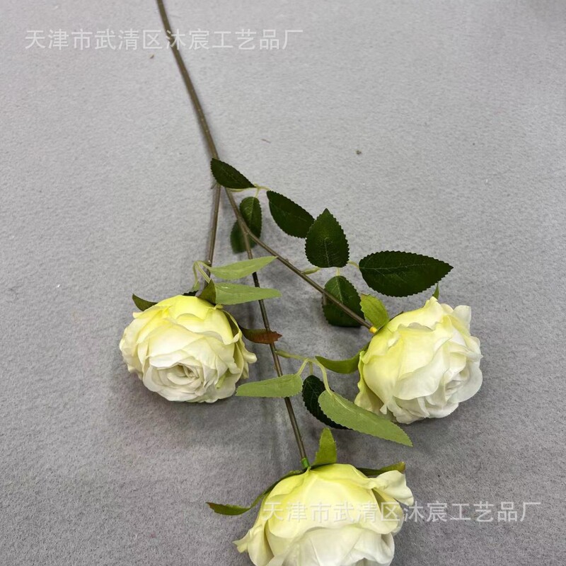 3頭のアカシアのバラはヨーロッパ式の油絵のバラの家庭の撮影の結婚式の撮影の道具の装飾の花をシミュレーションします。|undefined