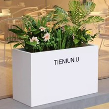 ���������Fˇ���P䓻���Nֲ������̘I�֏V����[�Fˇ�L���λ���