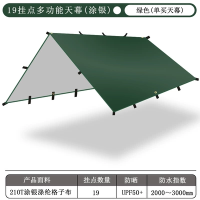 Avtomobil yan çətirləri: and Sun Protection - silver-coating-19-hanging-point-green-sky-curtain-outer-bag-no-accessories-3x3m
