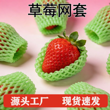 ��ݮˮ���W�׼Ӻ������������ĭ���o�׏S�����l���˰��b�W�����]