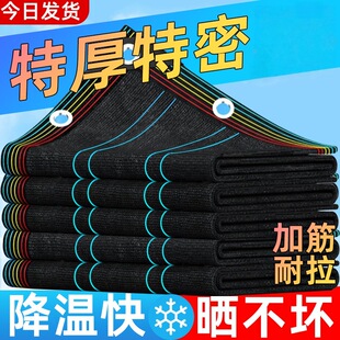 ��ꖾW�Ӻ������ꎾW̫ꖸ���ھWͥԺ�����ڹ������ꖲ�