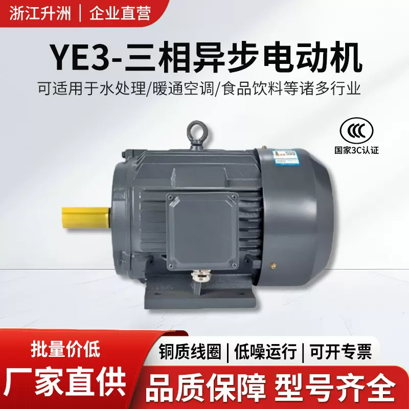 YE3三相异步电动机电机水泵风机小基座大功率机床配套厂家批发