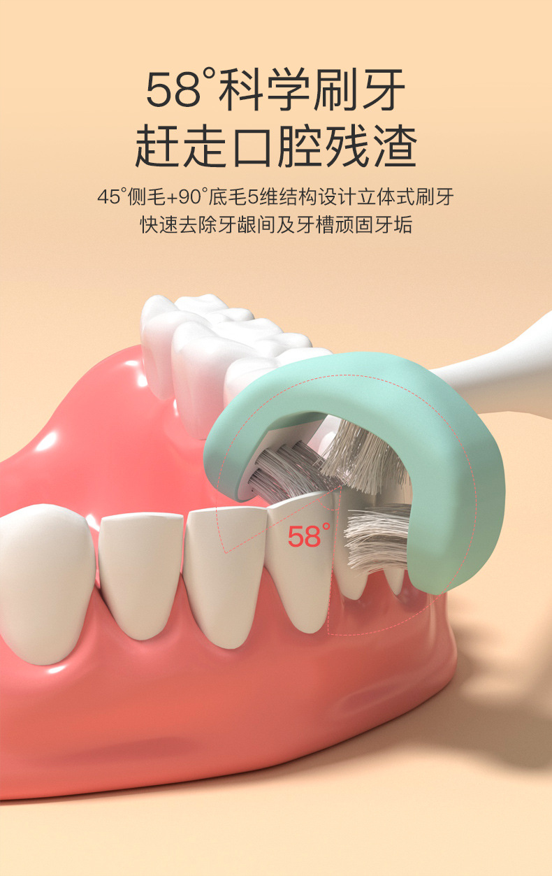 3D牙刷详情_05