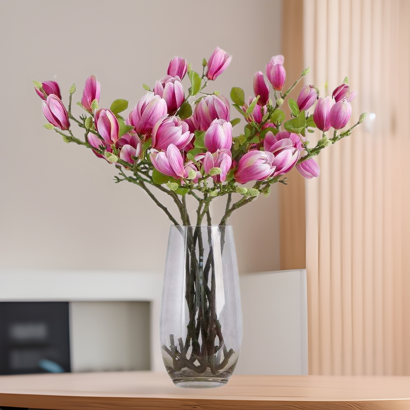 水培粉紫玉兰花干枝鲜切带花苞樱花鲜枝植物室内好养年宵花卉喜庆