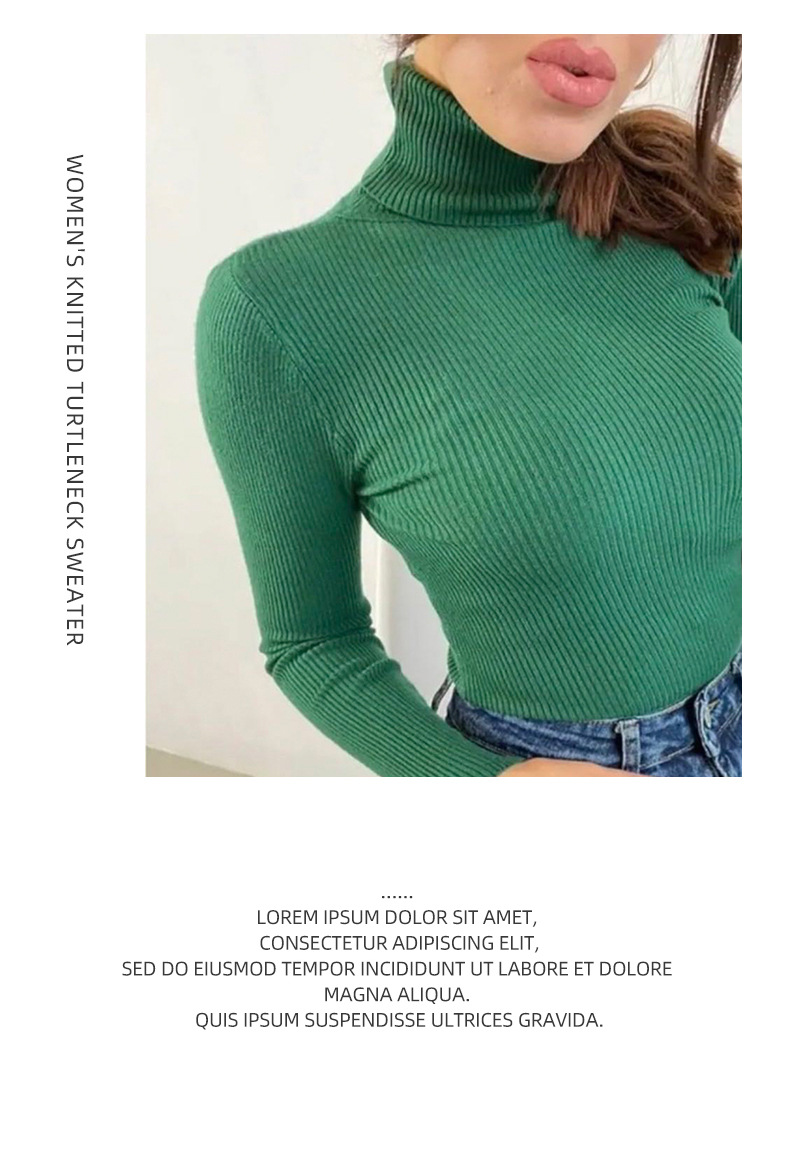 Women's High Collar Knitted Pullover Long Sleeve Sweater Top_voghion.com