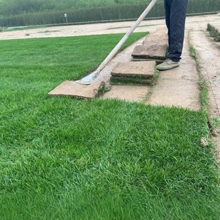 ��Ƥ���ƺ�������e�����@�G���ļ�����X��̨�����R������Ƥ����