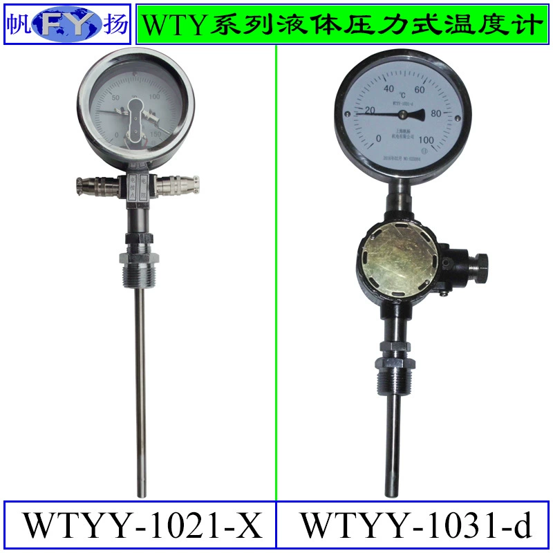 WTYY-1021 WTYYX-1031 серии термометр давления термометр электрический узел Pt10X20