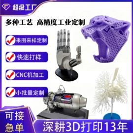 塑料工艺品;动植物仿真;模型、手板