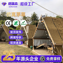 �羳����é�ݸ�������ë����� �r�Ҙ����^��ͤͥԺ�����b���