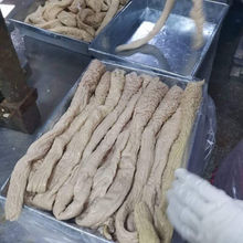 ���r���i���c�^�����i�c�^���r����Ƀ􎧱�20����c�u