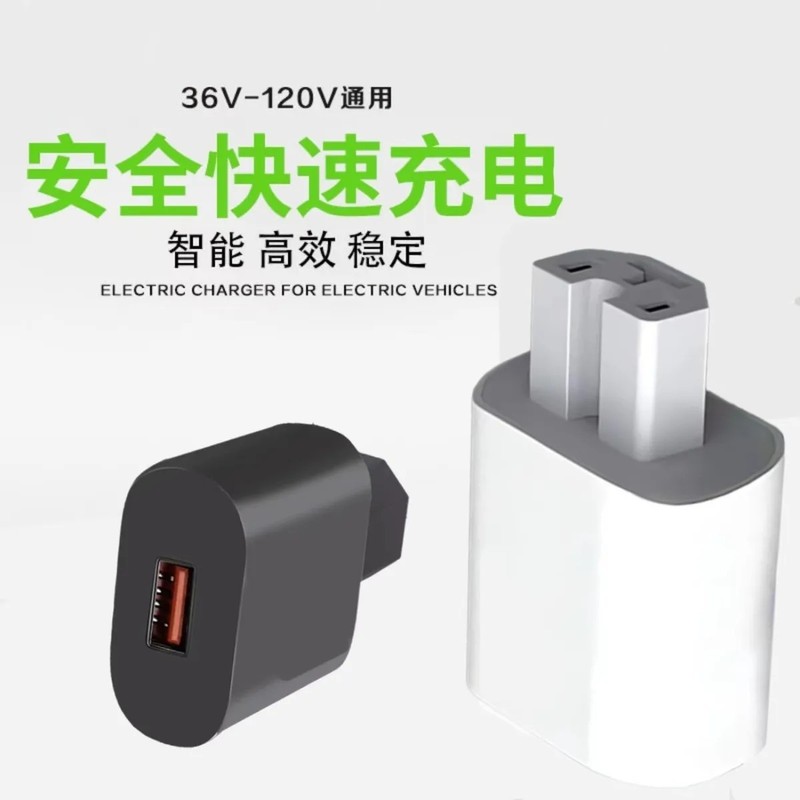 电动车手机充电器转换器转换36v48v60v72v100v通用|undefined