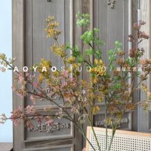 ���������׹����ѹ���֦���W�ҾӘӰ��g��c�b�ˇ�廨��ľGֲ