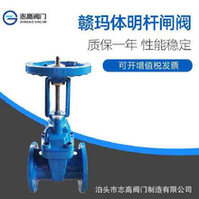 SNZ41X-16QīTFmܛܷlyMwUDN300i]