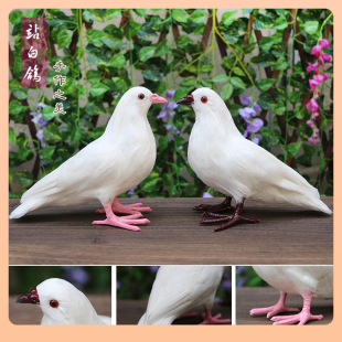 ?�������Ӕ[�����������w������c�b���ꐄ���ģ����ë�B�˱�