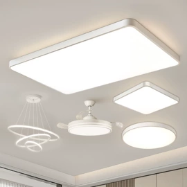 吸顶灯;吊灯;成套灯具