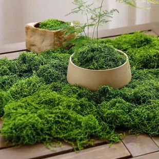 Simulated Moss Decoration Green Plants Home Gardening Landscape Green Space High Courtyard Wedding Micro Landscaping Lawn