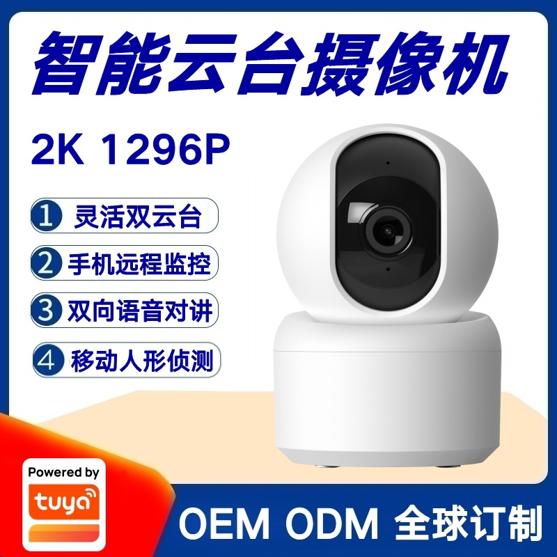 Graffiti Scheme 3 million Pixel Smart HD Surveillance Camera Dual PTZ Voice Intercom Network Camera