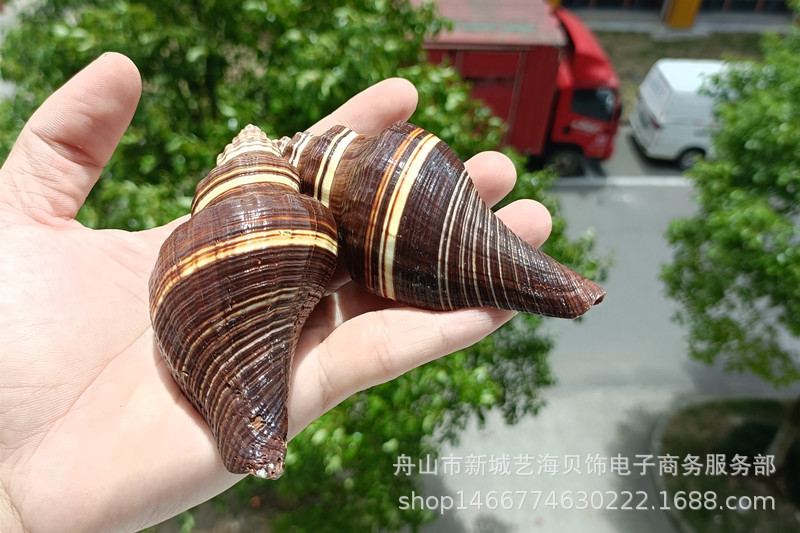 微信图片_20220630172635_副本1