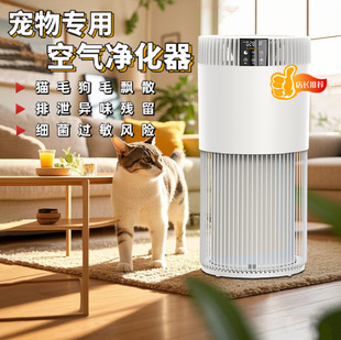 Pet Air Purifier Household Cat and Dog Absorption Floating Hair Negative Ion Odor Sterilization Machine Factory Outlet