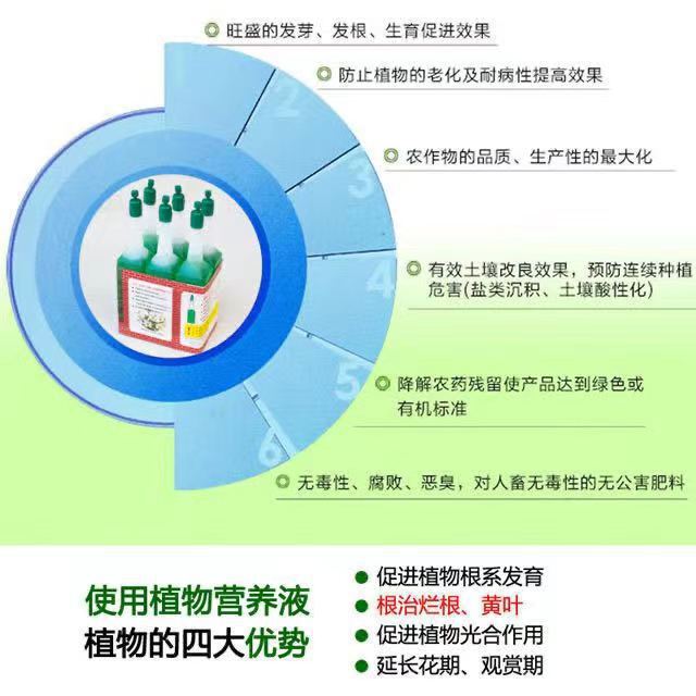 卸売り汎用型植物栄養液花卉葉面肥水培緑植鉢植え液体肥多肉果樹肥料|undefined