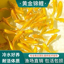 ��ؔ�~���B�S���ͻ���ˮ�~���~���~�~��С���~�^�p�~���~�\��