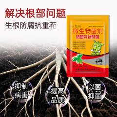 枯草菌、根腐病、白粉病、青枯病、灰病、錆病、微生物剤、緑色植物