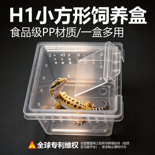 H1������B���،m����֩�������x���Q΁ţ��B�����xϐ�ӽ���