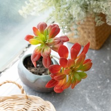 仿真花黑法师多肉植物厂家家居婚庆手捧花花墙植物墙假花MW17687