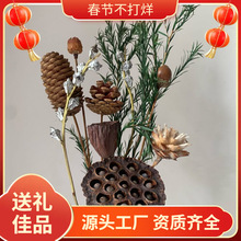 ���ɏ��Ǭ�ﻨ���W�Ӽ��b[����Ȼ�ɹ��ɻ��ɹ����uͨ�S��