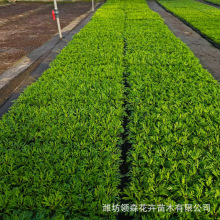 �������ػ��� ��������Ѩ���� �ļ��_�������҃��̨��������