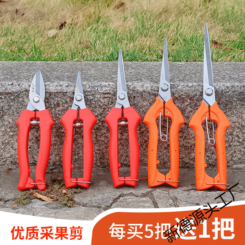 水果摘果剪橘子采果剪葡萄花椒剪刀园艺修枝剪稀果剪疏果剪子