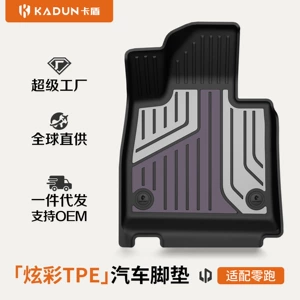 Suitable for Leapmotor A10 B01 C11 B10 C10 C16 D19 Lafa5 Special Tpe Colorful Car Floor Mats