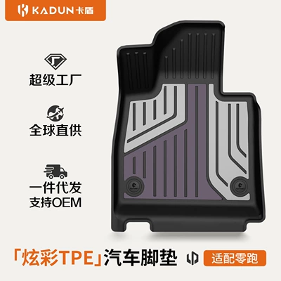 Suitable for Leapmotor A10 B01 C11 B10 C10 C16 D19 Lafa5 Special Tpe Colorful Car Floor Mats