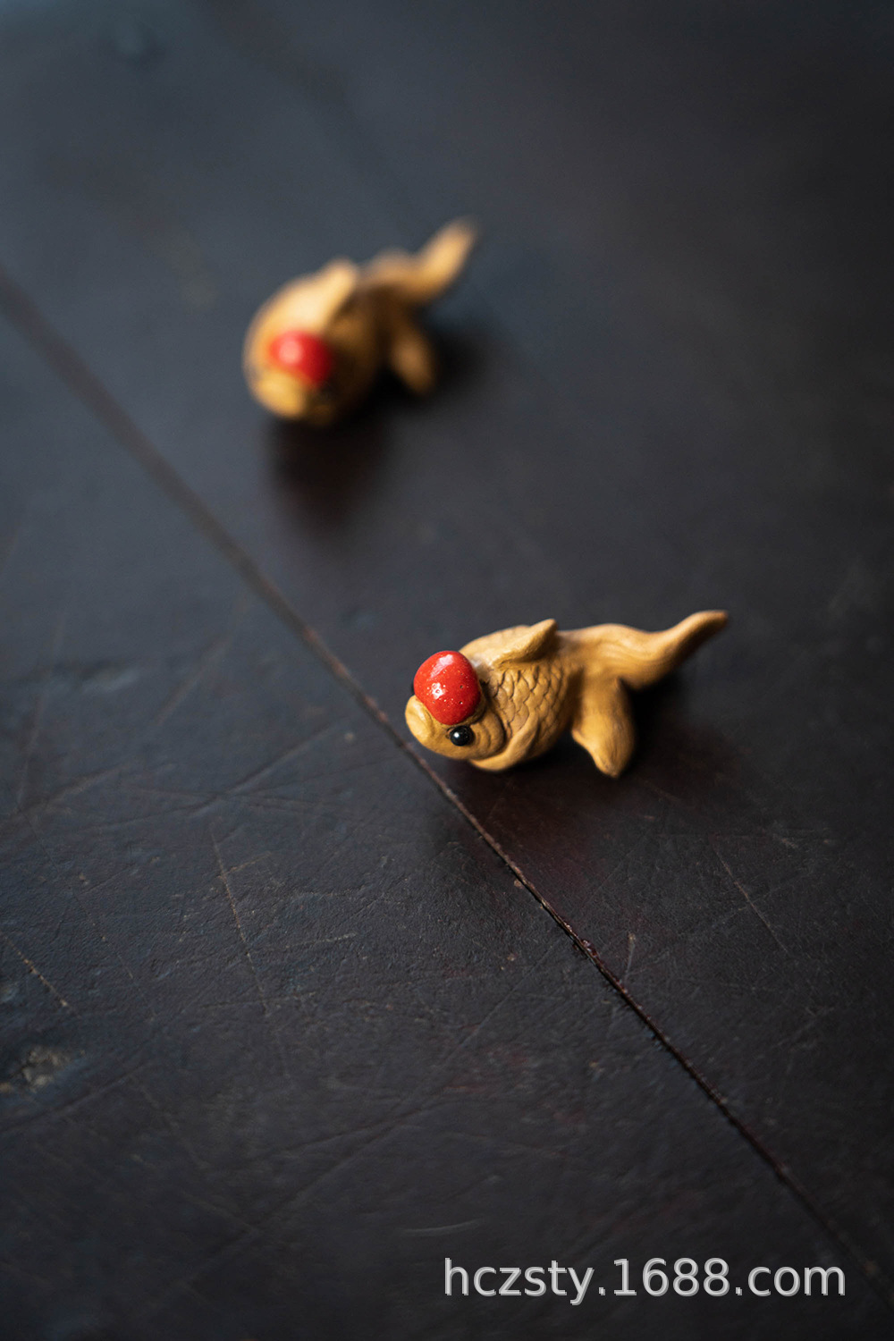 小金鱼20220714 (22).jpg