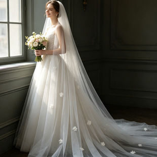 V596���鼆�����^�� ���ɻ����L�����β���Ãxʽ�⾰�����՘�Ƭ