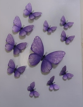 ?�¿��������c���߻�Y·����������c��Ʒ��ɫ���������N�b