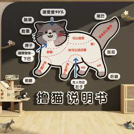 撸猫咪馆咖贴纸部位墙面装饰用品图宠物店铺背景玻璃房门网红打卡