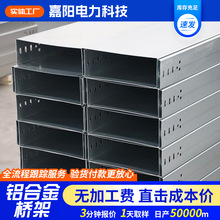 铝合金电缆桥架电力电缆布线钢结构厂房用耐腐蚀铝合金防火桥架